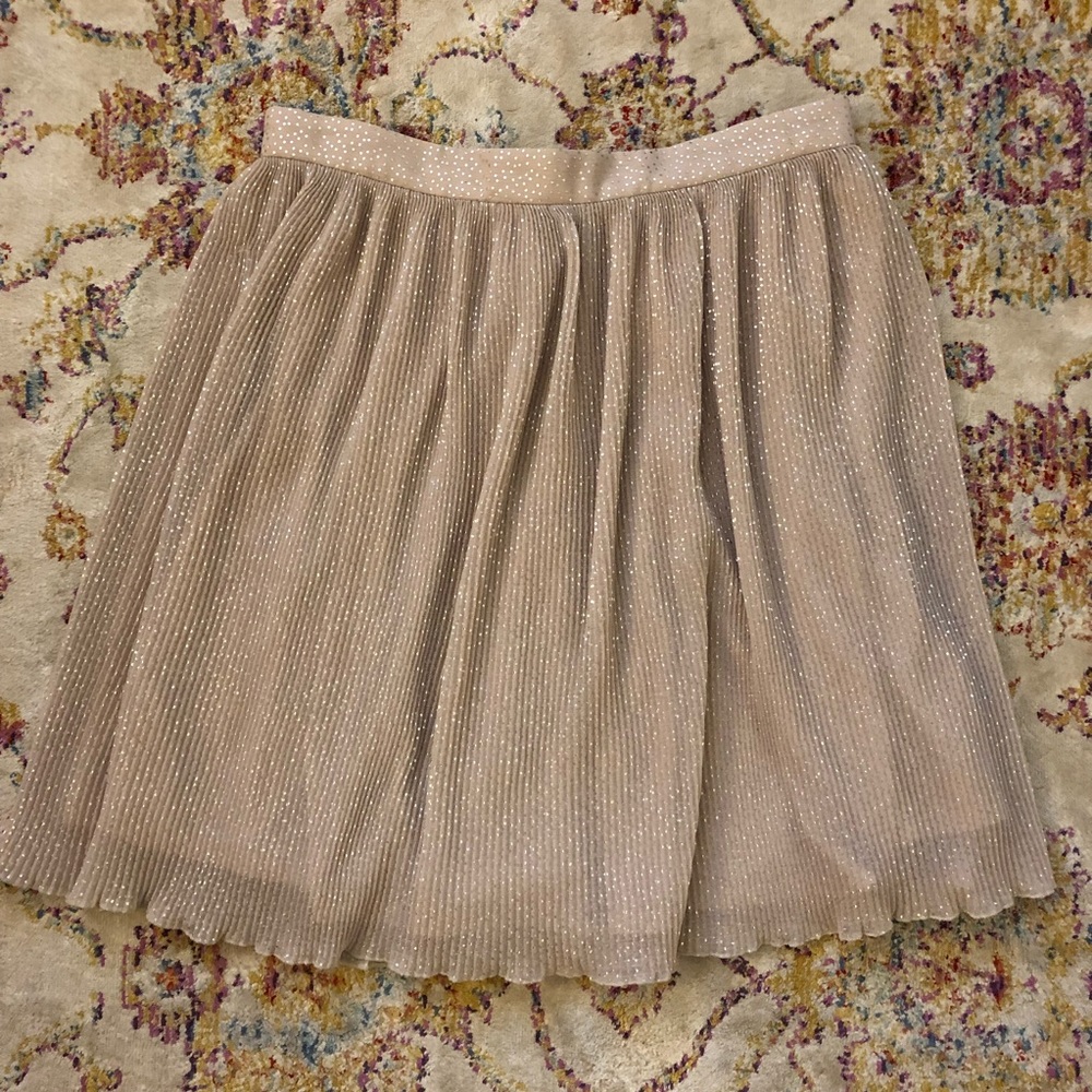 NWT Dreamy H&M Silver Dot Pleated Skirt